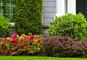 Landscaping Services